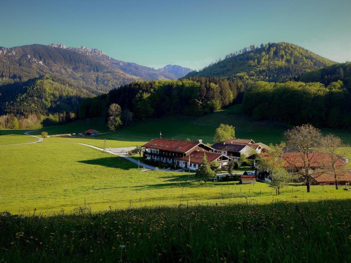 Gschwendtnerhof App10 Krausw Lejlighed Aschau im Chiemgau Eksteriør billede